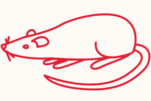 Röd illustration av en råtta.