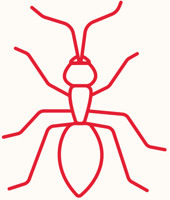 Röd illustration av en myra.