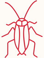 Röd illustration av en kackerlacka.